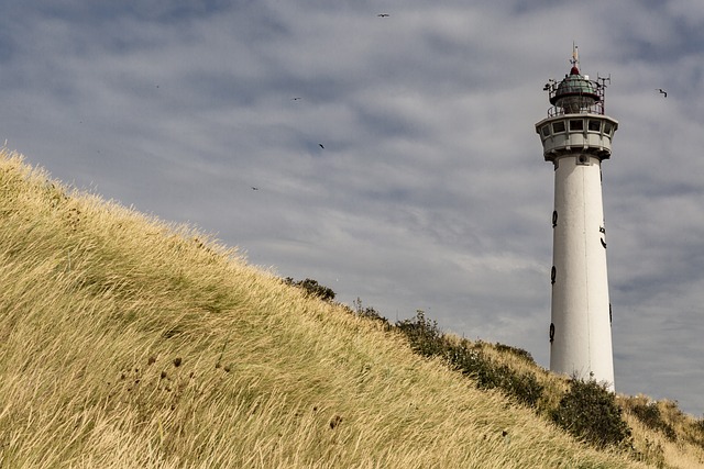 Vakantieavonturen in Nederland: van kust tot bosrijke gebieden